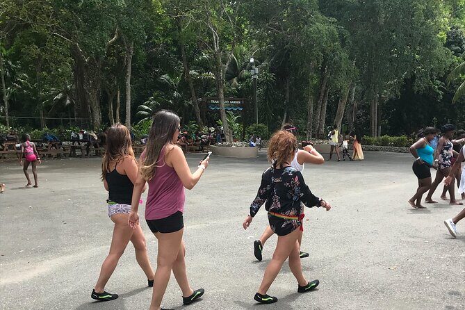 Dunns River Tour - Montego Bay hotel pickup and the flow of your day