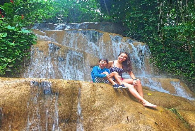 Eco Explorers Waterfall, Rainforest, local Shopping with lunch - Stop 2: Fern Gully (Rainforest-Style Stroll With Living Things Everywhere)