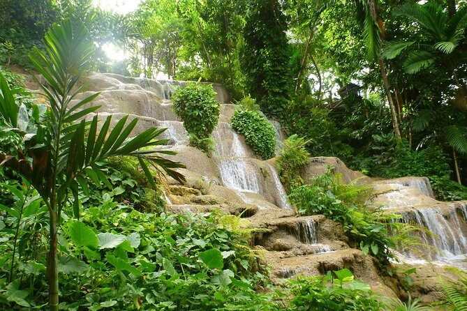 Eco Explorers Waterfall, Rainforest, local Shopping with lunch - Courtney Taylor Private Tours Stop: Quick Food Break at Juici Patties