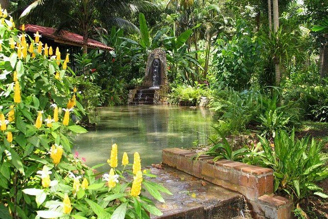 Eco Explorers Waterfall, Rainforest, local Shopping with lunch - Pickup, Drive Time, and the Value of Going With a Real Guide