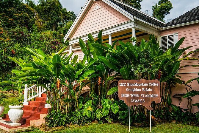 Exotic Blue Mountain Coffee Tour - Key things to know before you go