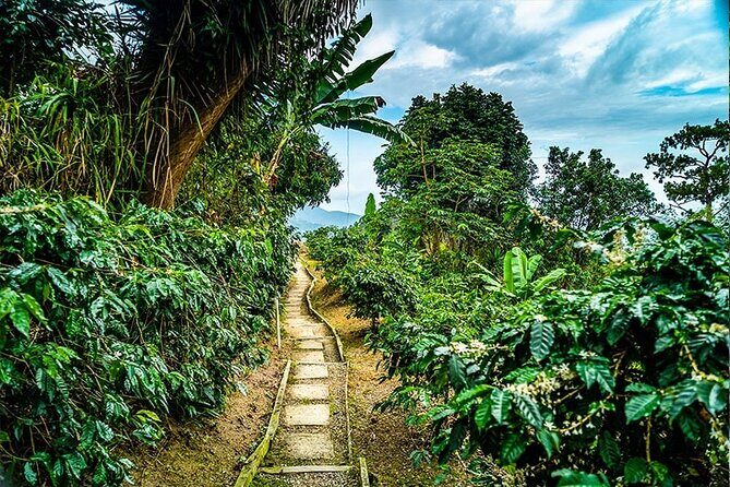 Exotic Blue Mountain Coffee Tour - Optional Bob Marley Museum: culture add-on with an entry fee