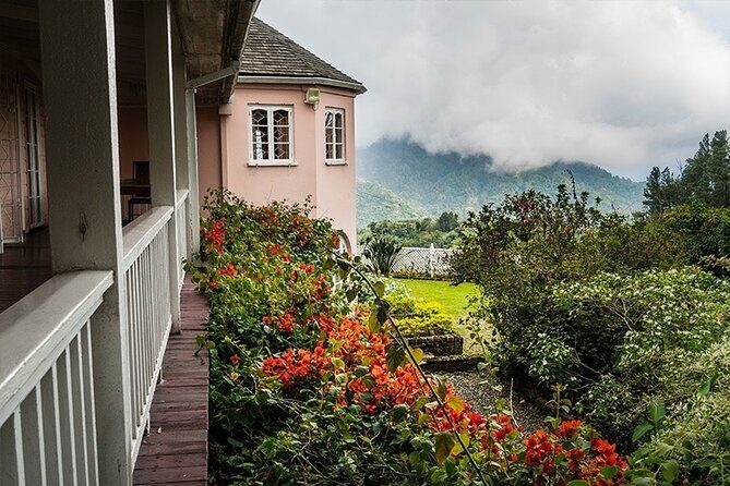 Exotic Blue Mountain Coffee Tour - Price and logistics: is $275 a good deal?