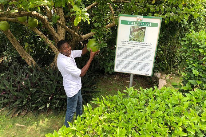 Explore Montego Bay Jamaica Private Tour to Green Gratto Cave - The timing: 3–4 hours of doing it right