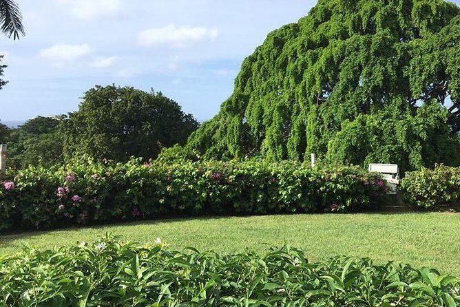 Explore Montego Bay Jamaica Rose Hall Great House Day/Night Tour - Rose Hall Night Tour: What You’ll Do at the Great House
