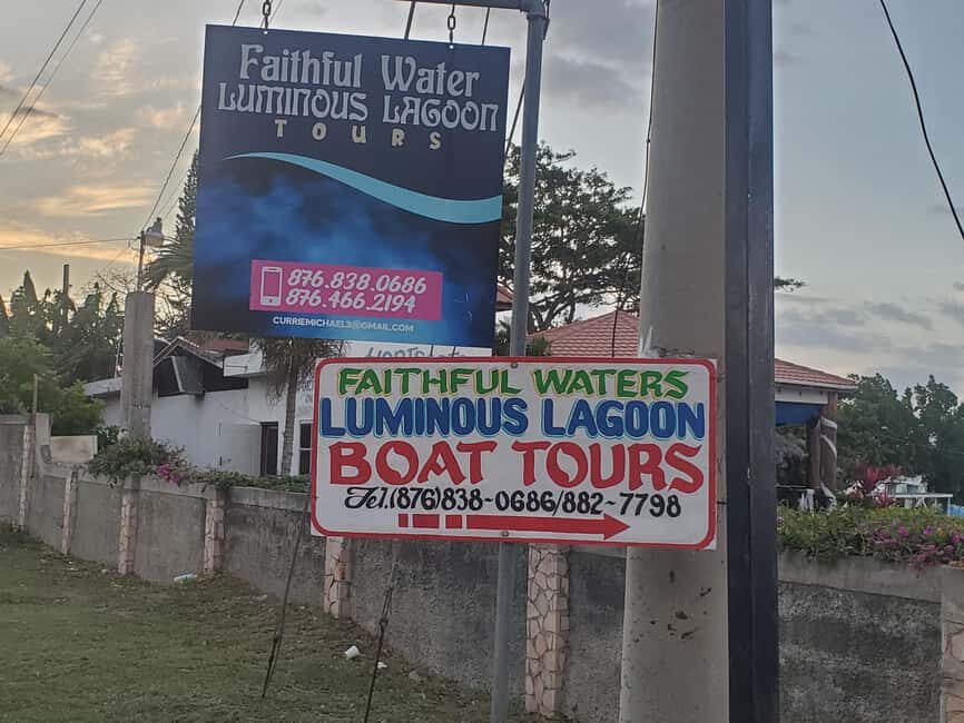 Falmouth: Luminous Lagoon Boat Tour - Meeting Point and Evening Timing in Falmouth