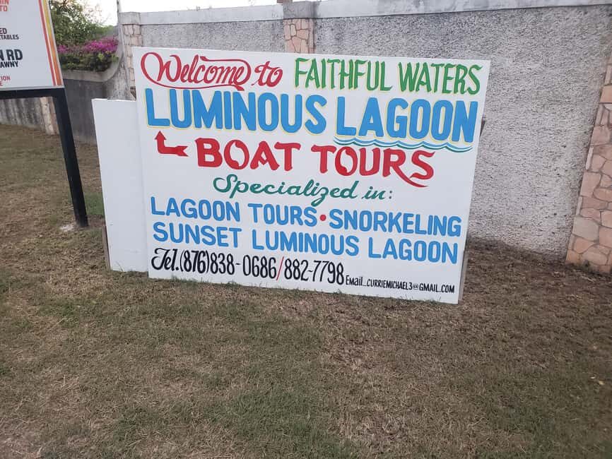 Falmouth: Luminous Lagoon Boat Tour - Who Should Book (and Who Should Skip) This Lagoon Swim