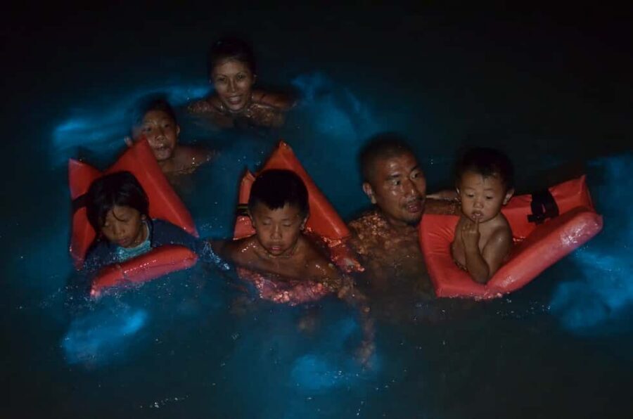 Falmouth: Luminous Lagoon Boat Tour - Should You Book the Falmouth Luminous Lagoon Boat Tour?