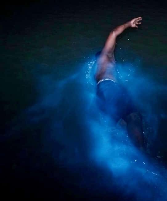 Falmouth: Luminous Lagoon Night Experience - What Makes Falmouth’s Glistening Water Lagoon Glow at Night