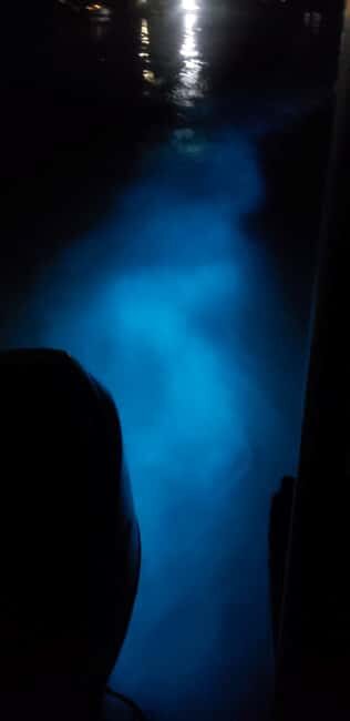 Falmouth: Luminous Lagoon Night Experience - The 3-Hour Plan: Pickup, Transfer, Boat Ride, and Swimming