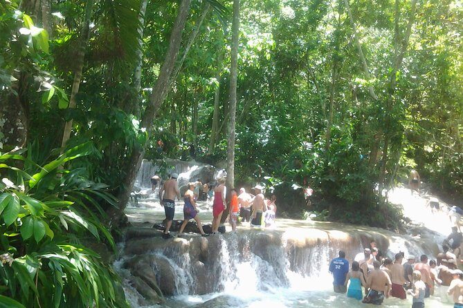 Falmouth Shore Excursion Dunn's River Falls - Price and Value: Why $110.98 Can Make Sense on a Cruise Day