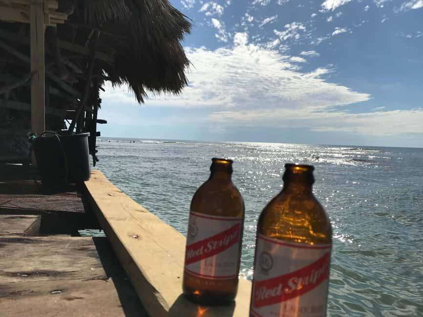 Floyd’s Pelican Bar, Ys Falls and Black River Safari Tour - Key highlights you’ll feel the moment you arrive