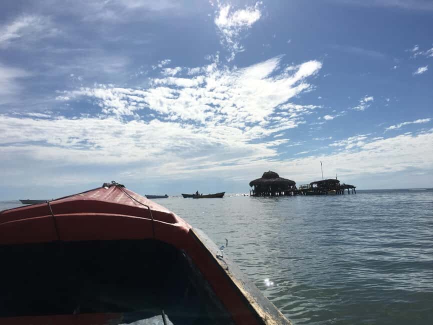 Floyd’s Pelican Bar, Ys Falls and Black River Safari Tour - Black River Safari by pontoon boat: mangroves, crocodiles, and bird spotting
