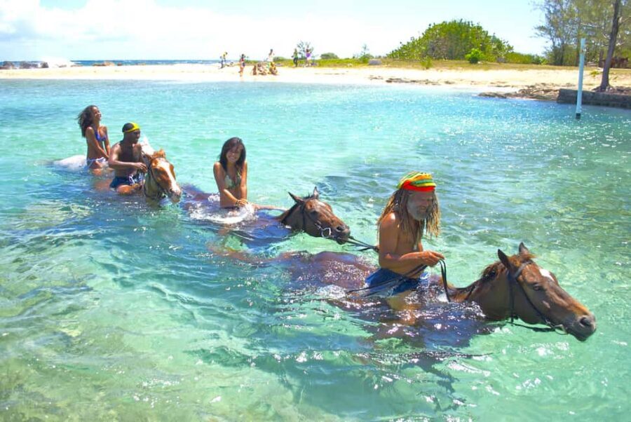 From Falmouth: Horseback Ride and Swim Beach Trip - Key things to know before you go