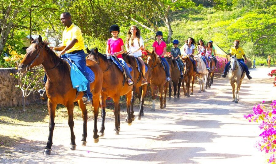 From Falmouth: Horseback Ride and Swim Beach Trip - After the ride: gazebo drinks, orchids, and the short cooldown