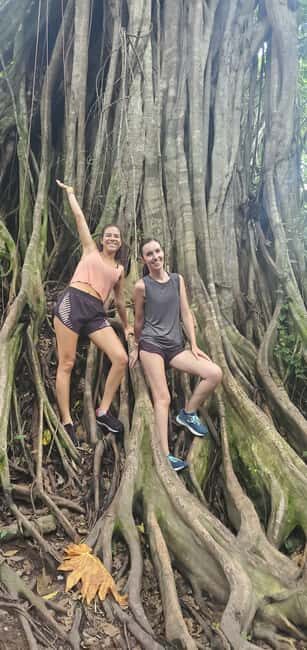 From Montego Bay: Blue Hole Waterfall Experience - Rope Swing, Cliff Jumps, and How to Choose Your Comfort Level
