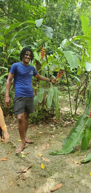 From Montego Bay: Blue Hole Waterfall Experience - What’s Included (and What You’ll Pay For on Your Own)