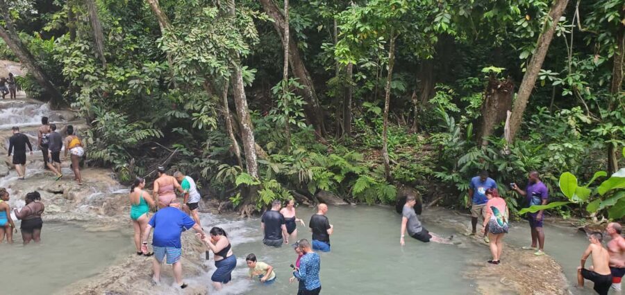From Montego Bay: Dunn’s River Falls Experience - Under the falls: water massage and natural pool time