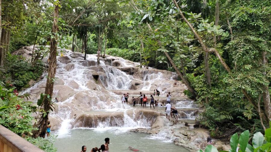 From Montego Bay: Dunn’s River Falls Experience - Gardens, splash areas, and quick park wandering