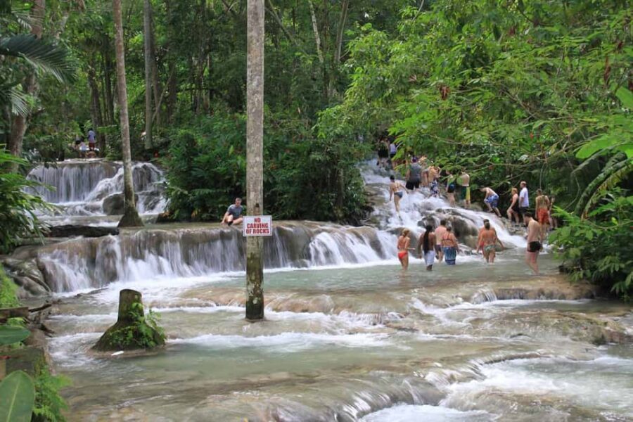 From Montego Bay: Dunn’s River Falls Experience - Optional zip lining and what to budget for