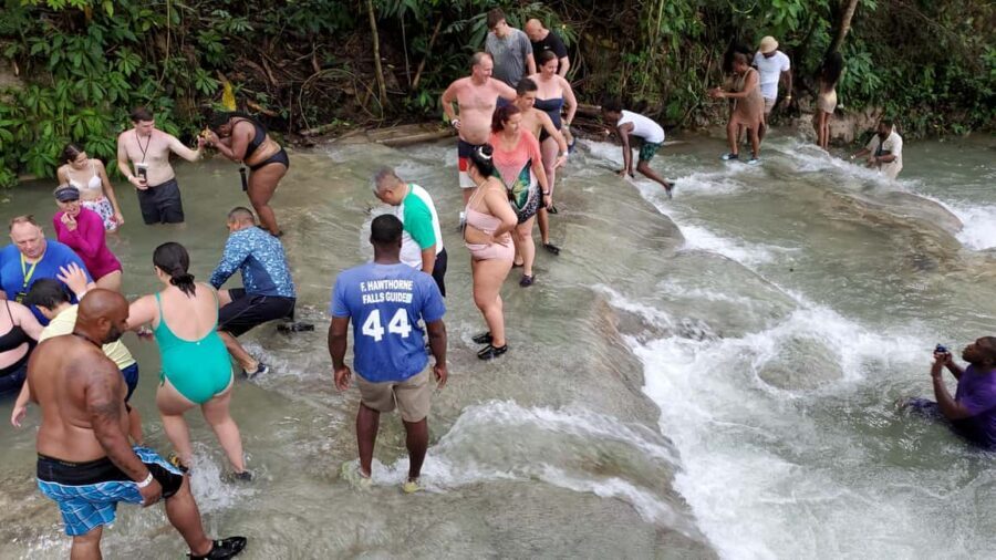 From Montego Bay: Dunn’s River Falls Experience - Price and value: is $135 worth it?