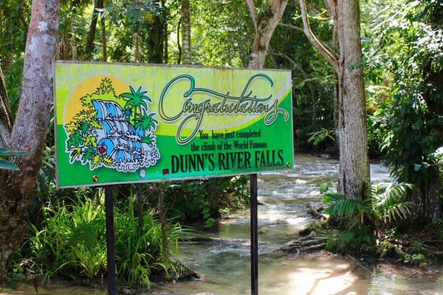 From Montego Bay: Dunn’s River Falls Experience - Who this tour suits (and who should skip it)