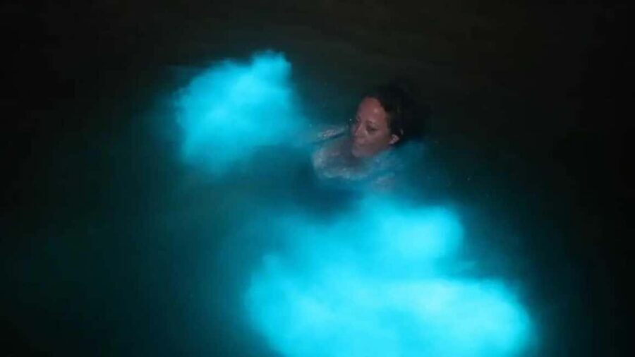 From Montego Bay: Luminous Lagoon Boat Tour with Transfer - Key points before you go