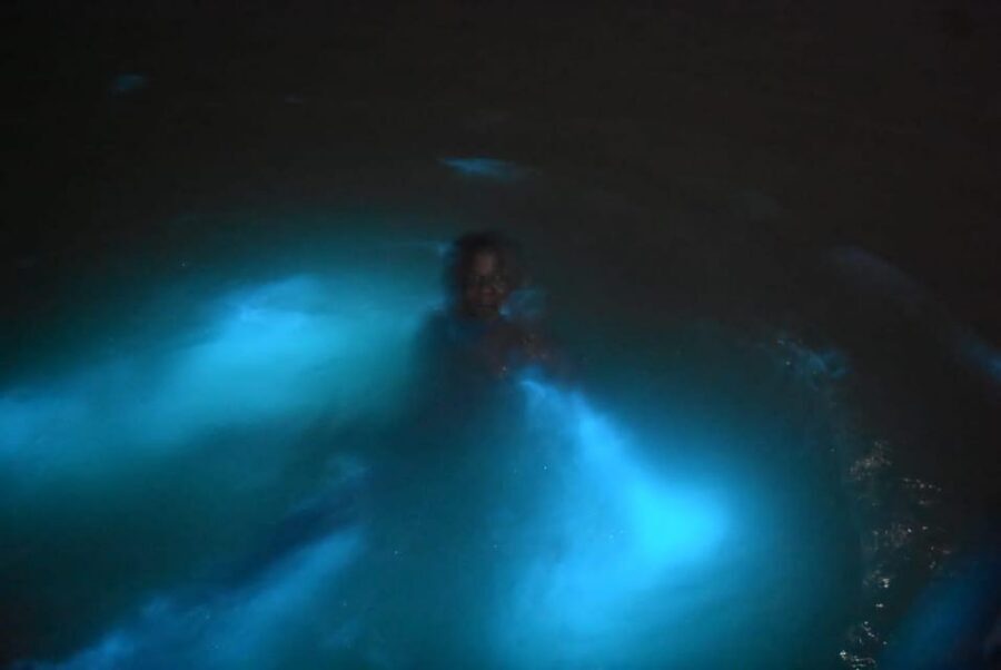 From Montego Bay: Luminous Lagoon Night Tour - Accessibility and Practical Comfort