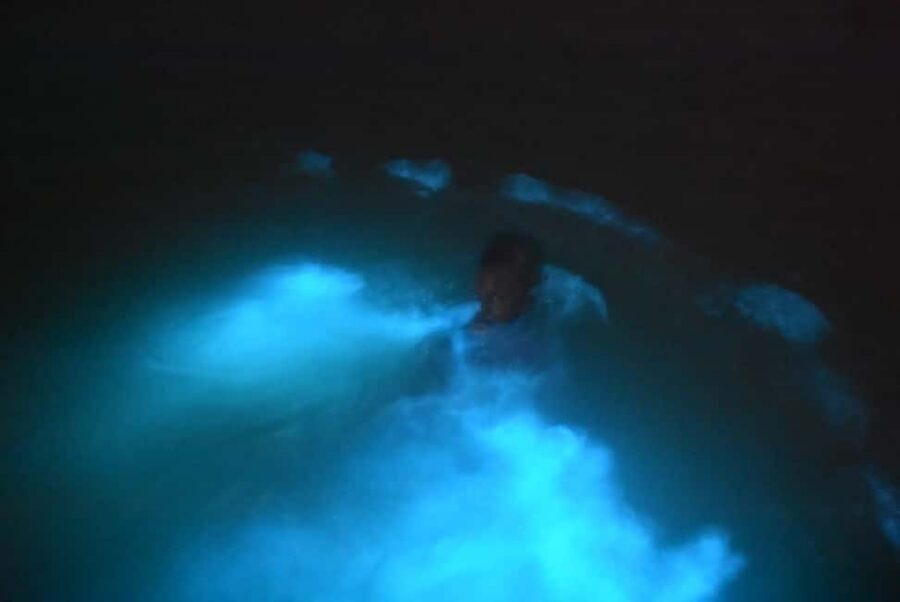 From Montego Bay: Luminous Lagoon Night Tour - Getting From Montego Bay: Transportation Is the Real Decision Point