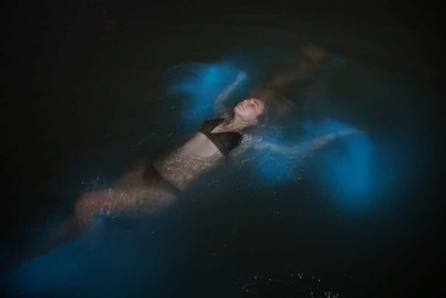 From Montego Bay: Luminous Lagoon Nighttime Boat Tour - The luminous lagoon effect: what you’re actually seeing