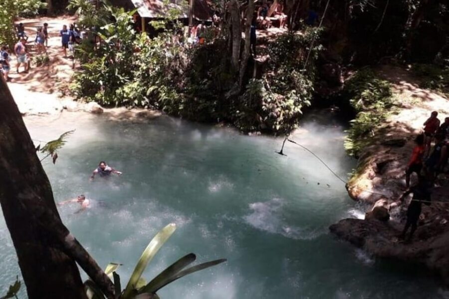 From Ocho Rios: Blue Hole & Dunn's River Falls Tour - Should you book this Ocho Rios Blue Hole and Dunn’s River Falls tour?