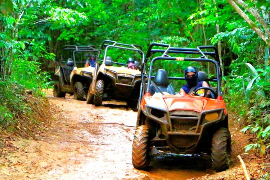 From Ocho Rios: Yaaman Adventure Park ATV Tour with Lunch - Lunch and the bird aviary: calm after the ruts