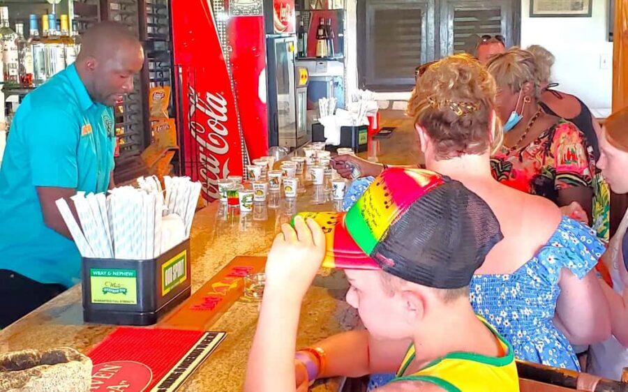 From Runaway Bay: Bob Marley Mausoleum Guided Day Trip - Key things I’d plan around