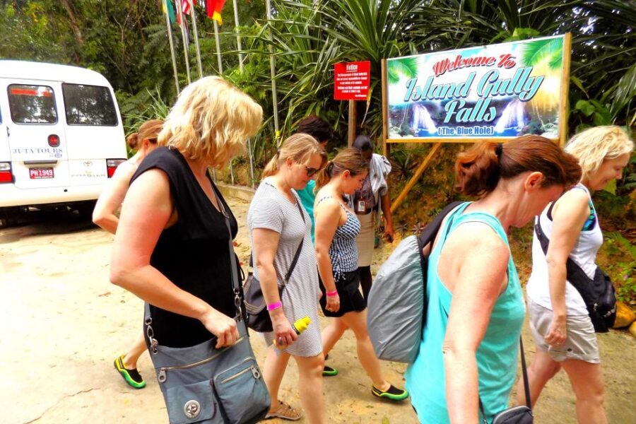From Runaway Bay: Island Gully Falls and Blue Hole Tour - Price and Value: Is $180 Worth It?