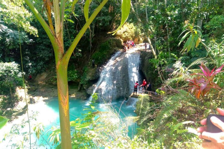 From Runaway Bay: Island Gully Falls and Blue Hole Tour - FAQ