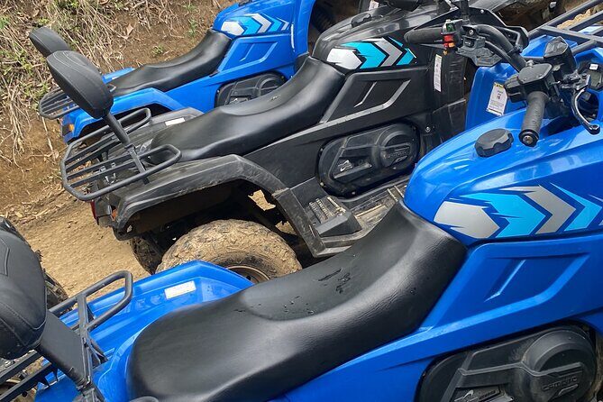 Full Day ATV Bush Trail and Water Sports Tour with Rick's Cafe - Price and Value: does $145 feel worth it?
