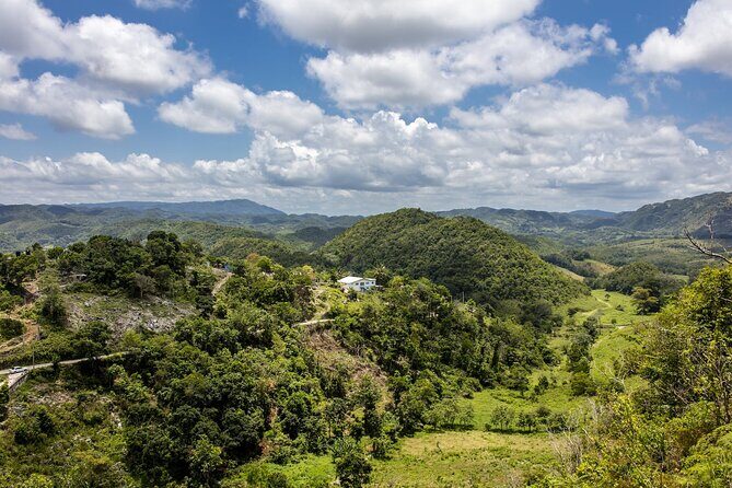 Full Day Dunn's River and Nine Miles with Lunch - Price and Value: Is $136 a Fair Deal?