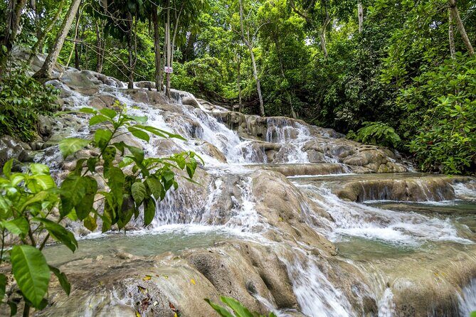 Full Day Dunn's River and Nine Miles with Lunch - Lunch, Tips, and the Price of a Long Day