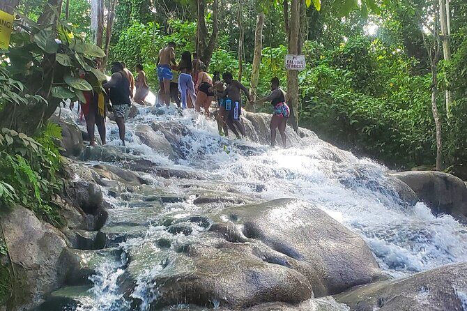 Full-Day Guided Tour to Dunns River Falls & shopping with lunch - Dunn’s River Falls and Park: the main event in two hours