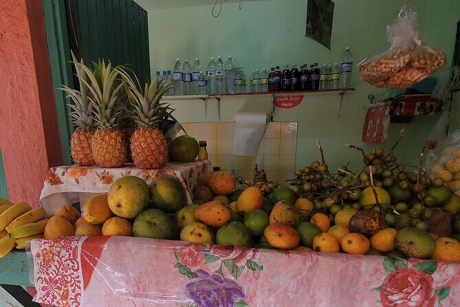 Full-Day Guided Tour to Dunns River Falls & shopping with lunch - What you really get for $130: value breakdown
