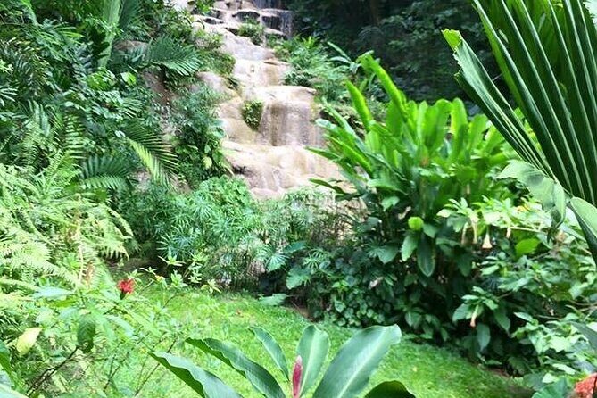 Fun tour for kids with River tubing and Konoko Falls - Konoko Falls Park: Gardens, Wildlife, and Falls Views Over Ocho Rios