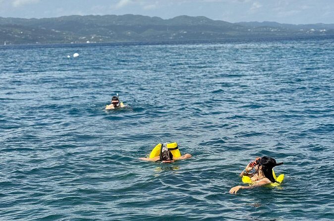 Glass bottom Boat Tour and Snorkeling Experience in Montego Bay - The glass-bottom boat: reef views even if you skip the water