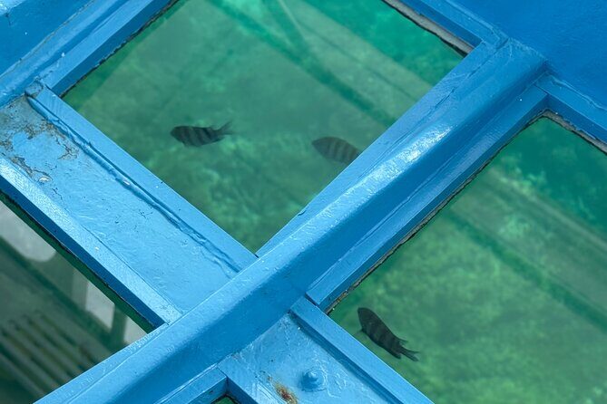 Glass bottom Boat Tour and Snorkeling Experience in Montego Bay - What’s included (and what you’ll need to handle yourself)