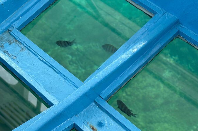 Glass bottom Boat Tour and Snorkeling Experience in Montego Bay - Who this tour suits best (and who might want another plan)