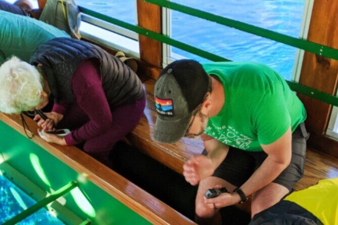 Glass Bottom Boat Water Activity in Montego Bay Jamaica - What You’ll See Through the Glass: Coral and Marine Life Without Gear