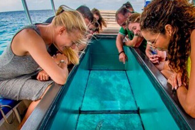 Glass Bottom Boat Water Activity in Montego Bay Jamaica - Montego Bay Vibes: Coastline, Reggae, and the Water-Sports Scene