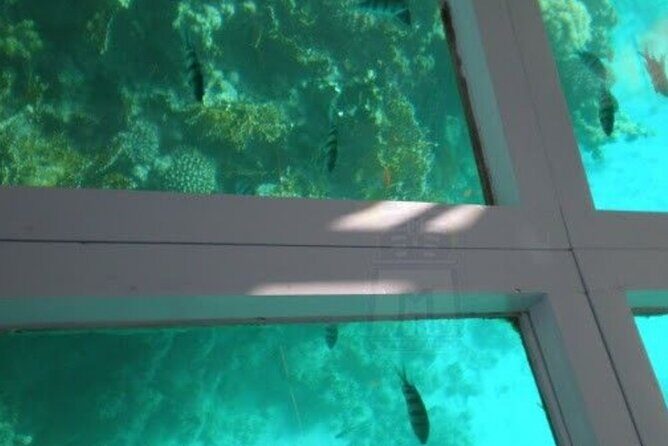 Glass Bottom Boat Water Activity in Montego Bay Jamaica - The Timeline: How the Day Flows in About 1 Hour 20 Minutes