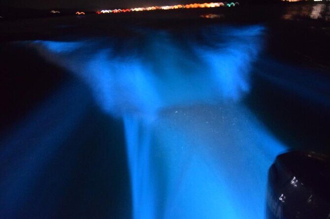 Glow with the Flow: A Romantic Night at the Luminous Lagoon”) - The Boat Ride at Luminous Lagoon: Captain-Led, Romantic, and Hands-On