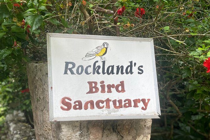 Great River Bamboo Rafting and Bird Sanctuary Combine Tour From Montego Bay - Stop 2 at Lethe Estate: a 30-foot bamboo raft on the Lethe Great River