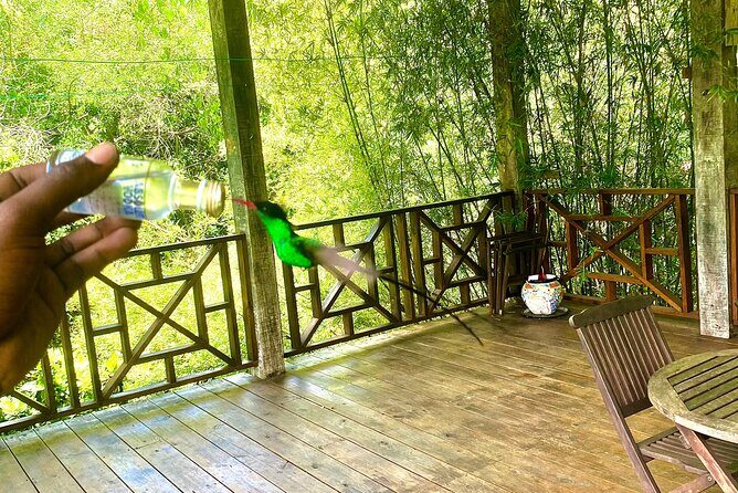 Great River Bamboo Rafting and Bird Sanctuary Combine Tour From Montego Bay - Transportation from Montego Bay: private, air-conditioned, and simple